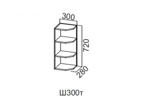 Ш300т/720 Шкаф навесной 300/720 (торцевой) в Арамиле - aramil.magazin-mebel74.ru | фото