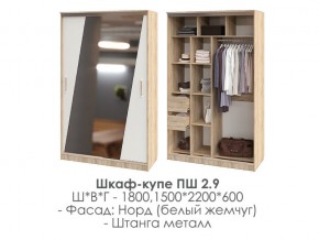 шкаф-купе ПШ-2.9 1500 Норд Белый жемчуг 1500 в Арамиле - aramil.magazin-mebel74.ru | фото