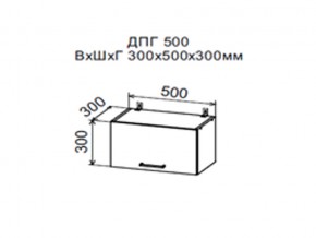 Шкаф верхний ДПГ500 горизонтальный в Арамиле - aramil.magazin-mebel74.ru | фото