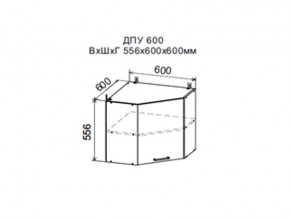 Шкаф верхний ДПУ600 угловой в Арамиле - aramil.magazin-mebel74.ru | фото